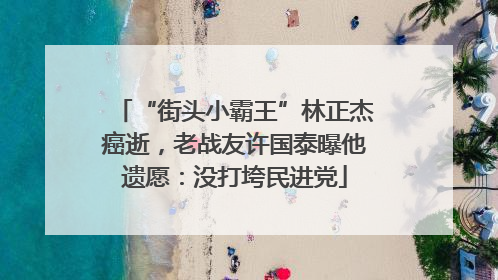 “街头小霸王”林正杰癌逝，老战友许国泰曝他遗愿：没打垮民进党