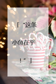 “这条小鱼在乎！”