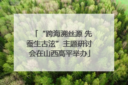 “跨海溯丝源 先蚕生古泫”主题研讨会在山西高平举办