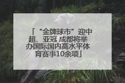“金牌球市”迎中超、亚冠 成都将举办国际国内高水平体育赛事10余项