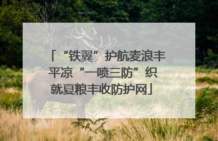 “铁翼”护航麦浪丰 平凉“一喷三防”织就夏粮丰收防护网