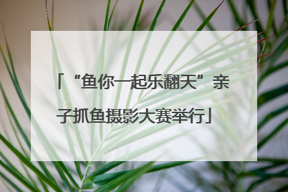“鱼你一起乐翻天”亲子抓鱼摄影大赛举行