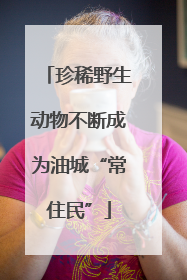 珍稀野生动物不断成为油城“常住民”