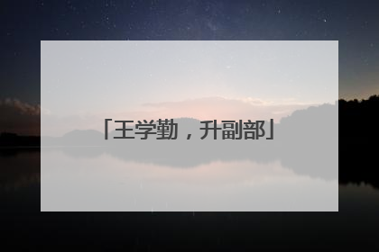 王学勤，升副部