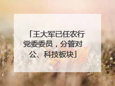 王大军已任农行党委委员，分管对公、科技板块