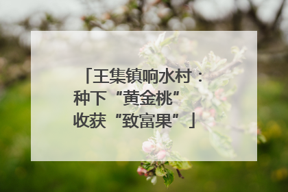 王集镇响水村：种下“黄金桃” 收获“致富果”
