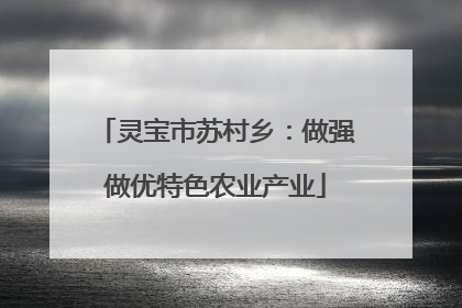 灵宝市苏村乡：做强做优特色农业产业