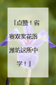 点赞！省赛双奖花落潍坊这所中学！
