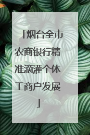 烟台全市农商银行精准滴灌个体工商户发展