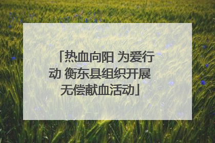 热血向阳 为爱行动 衡东县组织开展无偿献血活动