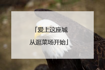 爱上这座城 从逛菜场开始