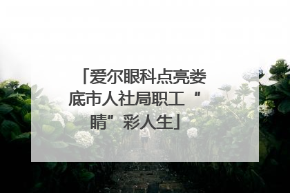 爱尔眼科点亮娄底市人社局职工“睛”彩人生