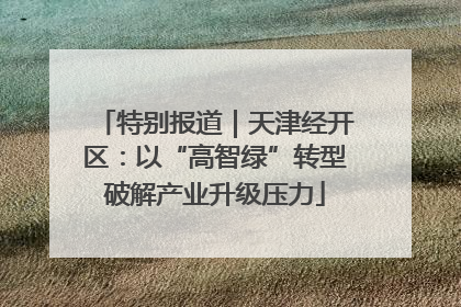 特别报道｜天津经开区：以“高智绿”转型破解产业升级压力