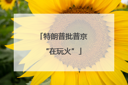 特朗普批普京“在玩火”
