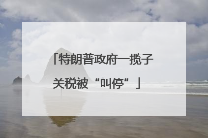 特朗普政府一揽子关税被“叫停”