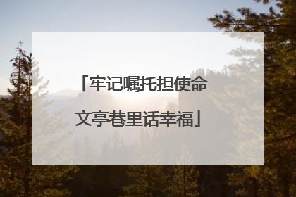 牢记嘱托担使命 文亭巷里话幸福