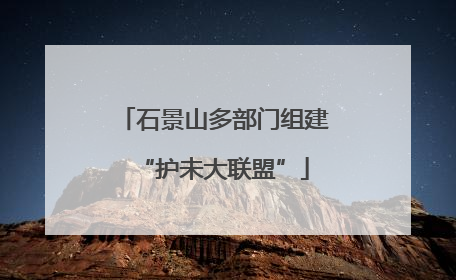 石景山多部门组建“护未大联盟”