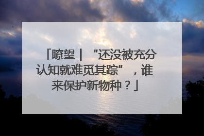 瞭望｜“还没被充分认知就难觅其踪”，谁来保护新物种？