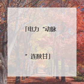 电力“动脉”连陕甘