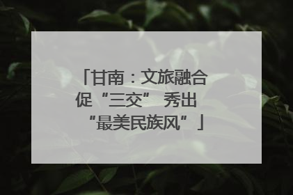 甘南：文旅融合促“三交” 秀出“最美民族风”