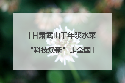 甘肃武山千年浆水菜“科技焕新”走全国