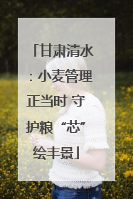 甘肃清水：小麦管理正当时 守护粮“芯”绘丰景
