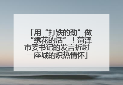 用“打铁的劲”做“绣花的活”！菏泽市委书记的发言折射一座城的炽热情怀