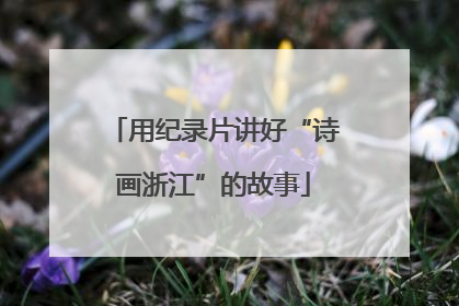 用纪录片讲好“诗画浙江”的故事