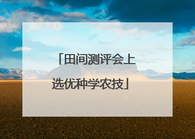 田间测评会上选优种学农技