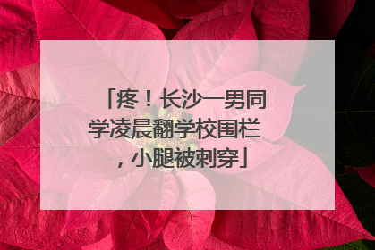 疼！长沙一男同学凌晨翻学校围栏，小腿被刺穿