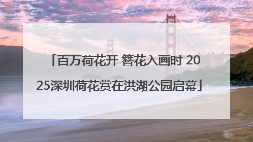 百万荷花开 簪花入画时 2025深圳荷花赏在洪湖公园启幕