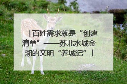 百姓需求就是“创建清单”——苏北水城金湖的文明“养城记”