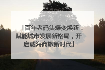 百年老码头蝶变焕新：赋能城市发展新格局，开启威海商旅新时代