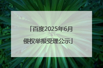 百度2025年6月侵权举报受理公示