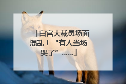 白宫大裁员场面混乱！“有人当场哭了”……