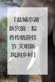 盐城亭湖新兴镇：粽香传情迎佳节 文明新风润乡村