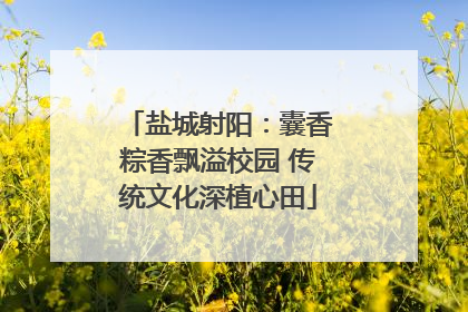 盐城射阳：囊香粽香飘溢校园 传统文化深植心田
