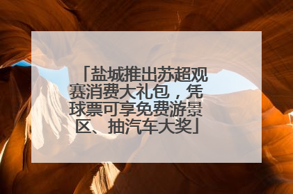 盐城推出苏超观赛消费大礼包，凭球票可享免费游景区、抽汽车大奖