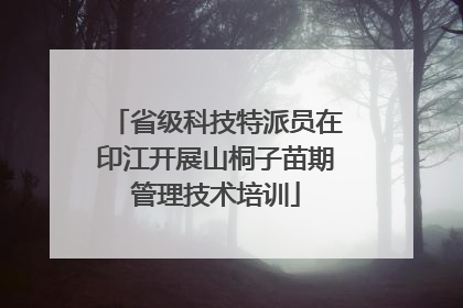 省级科技特派员在印江开展山桐子苗期管理技术培训