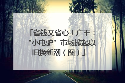 省钱又省心！广丰：“小电驴”市场掀起以旧换新潮（图）