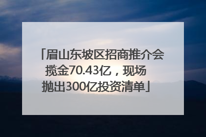 眉山东坡区招商推介会揽金70.43亿，现场抛出300亿投资清单