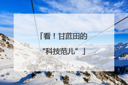 看！甘蔗田的“科技范儿”
