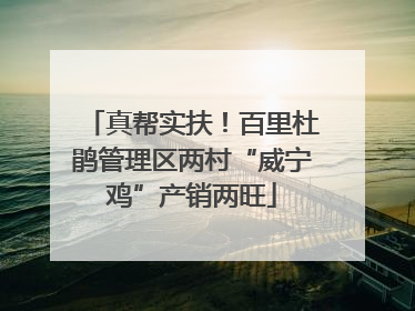真帮实扶！百里杜鹃管理区两村“威宁鸡”产销两旺
