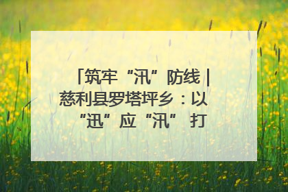 筑牢“汛”防线｜慈利县罗塔坪乡：以“迅”应“汛” 打赢暴雨防御战