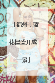 福州：蓝花楹盛开成一景