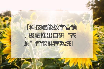 科技赋能数字营销，极融推出自研“苍龙”智能推荐系统