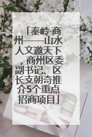 秦岭·商州——山水人文邀天下，商州区委副书记、区长支朝奇推介5个重点招商项目