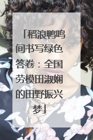 稻浪鸭鸣间书写绿色答卷：全国劳模田淑娴的田野振兴梦