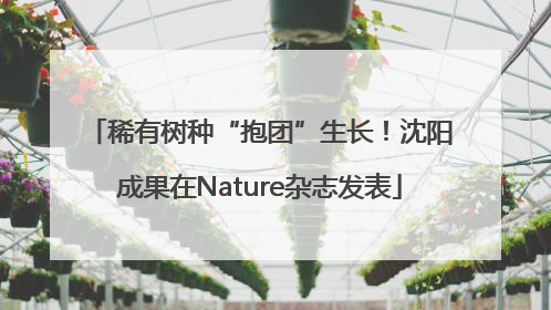 稀有树种“抱团”生长！沈阳成果在Nature杂志发表