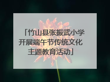 竹山县张振武小学开展端午节传统文化主题教育活动